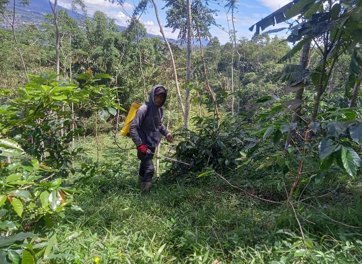 WhatsApp Image 2026 04 01 at 13.40.16