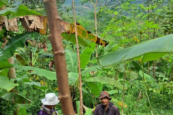 WhatsApp Image 2026 04 12 at 1.20.15 PM