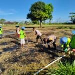 WhatsApp Image 2026 04 22 at 5.44.52 PM