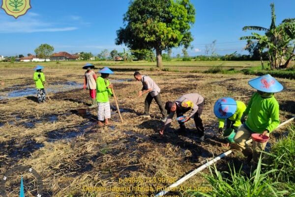 WhatsApp Image 2026 04 22 at 5.44.52 PM