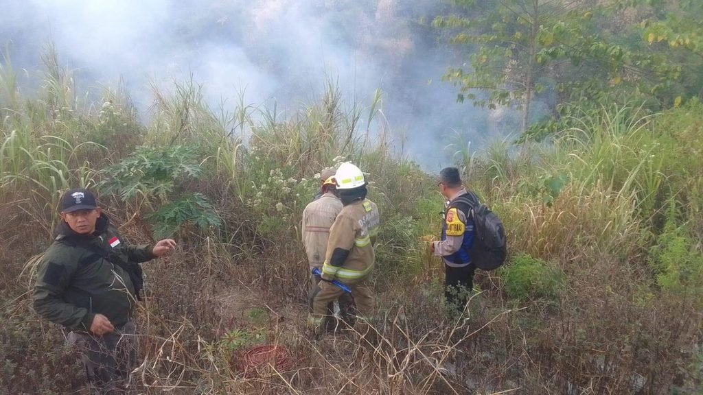 Gercep, Polsek Cidadap Bersama Forkopimcam, Damkar dan Warga Tangani Kebakaran Alang-Alang dan Pohon Bambu 2 WhatsApp Image 2026 09 17 at 09.02.081